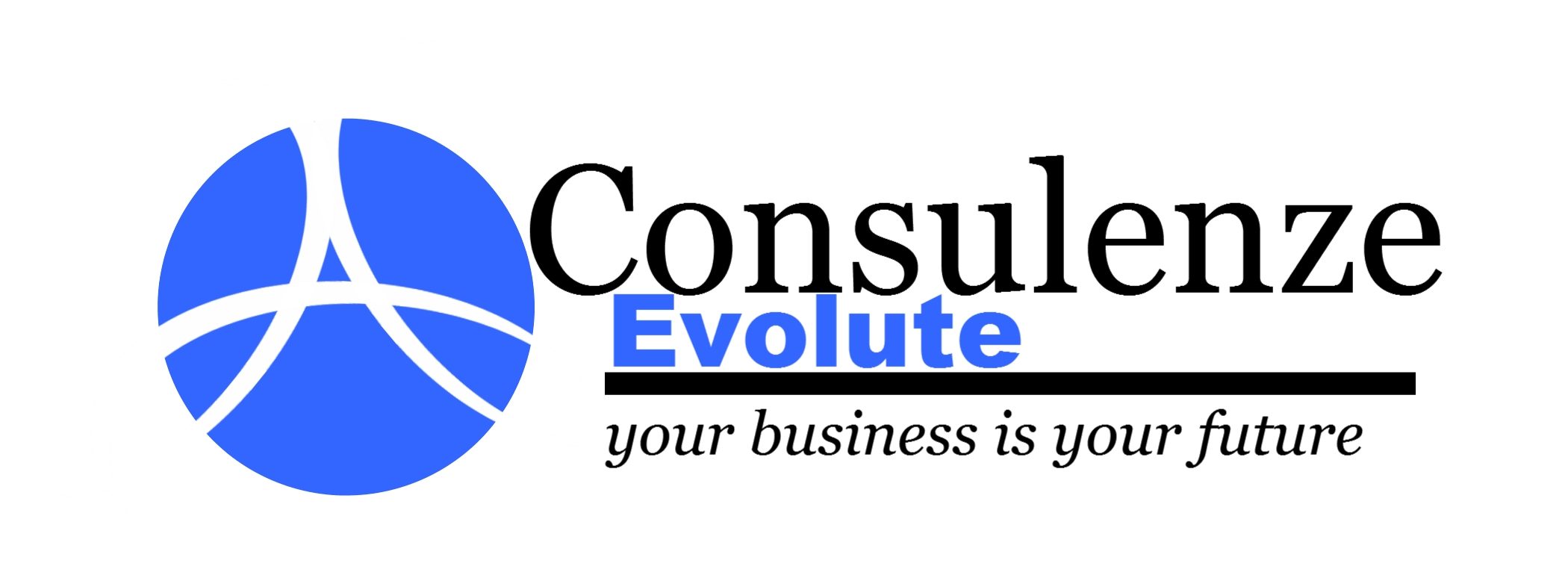Consulenze  Evolute