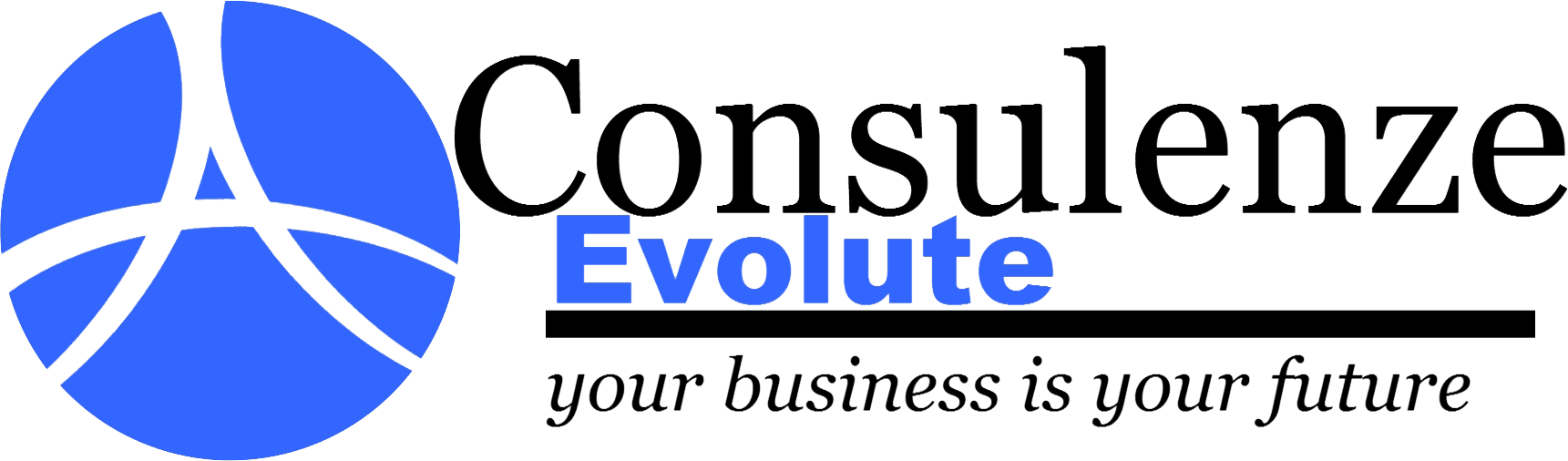 Consulenze  Evolute